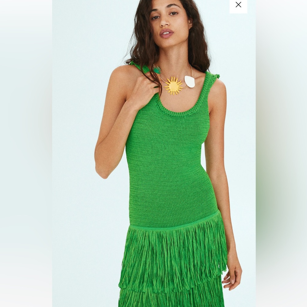 Simon Miller x Mango knitted fringe dress